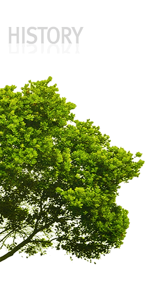 ���Ҿ��¿츮����ü